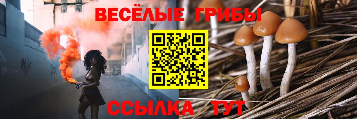 Псилоцибиновые грибы GOLDEN TEACHER  Галлюциногенные грибы MAGIC MUSHROOMS  купить закладку  Шелехов  Вход с VPN 